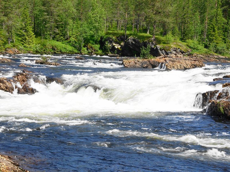 A river running white over rocky rapids between forested banks
