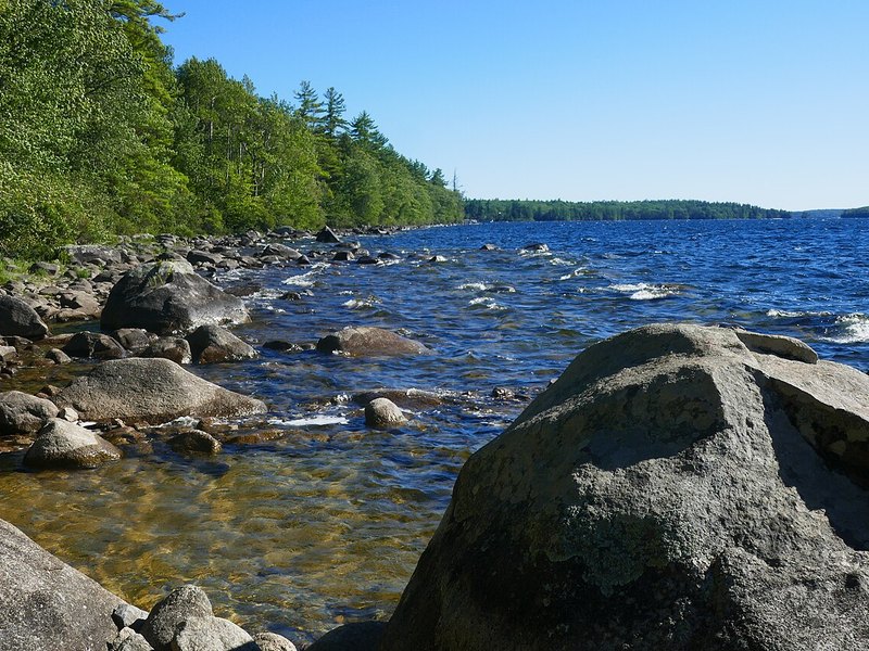 A rocky lake shore with clear water, boulders and forest, under a blue sky