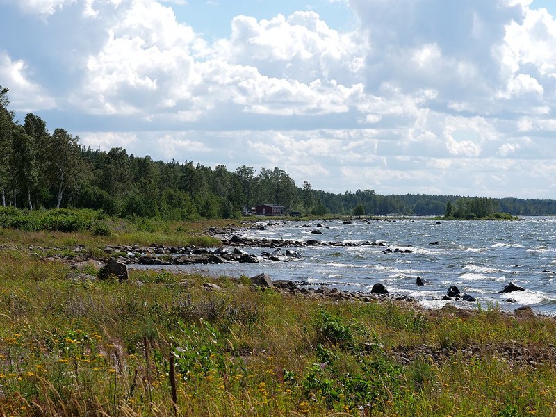 A grassy lake shore with rocks, calm water and a forested point under clouds