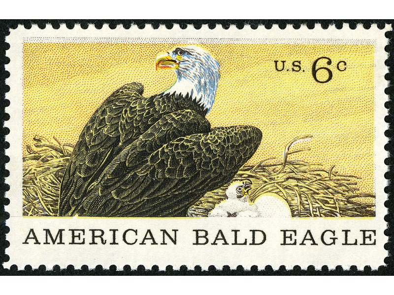 A United States six-cent stamp showing an adult Bald Eagle on a nest with a chick and the words American Bald Eagle